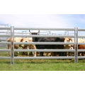 Australia Market Glavanized Oval Cattle Panels for Sale